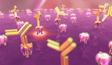 TNF inhibitors