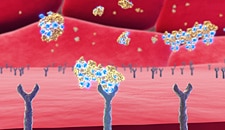 Nanoparticle chemotherapy
