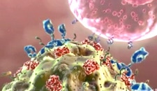 Enhancing immune response