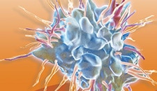 Active immunotherapy