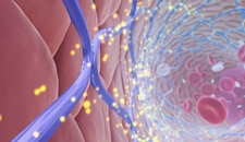 Drug-eluting stent