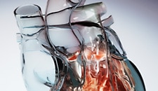 Hybrid Interactive Heart