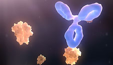 Anti-drug antibodies