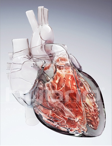 Glass heart - Hybrid Medical Animation
